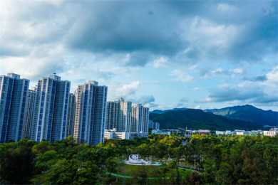 养一只小型狗大致的费用