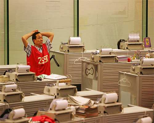 养狗人支招：看这些部位，确认狗狗的健康水平