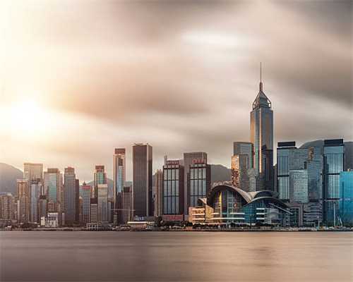 为什么越来越少人养“折耳猫”？网友：养过一次都怕了