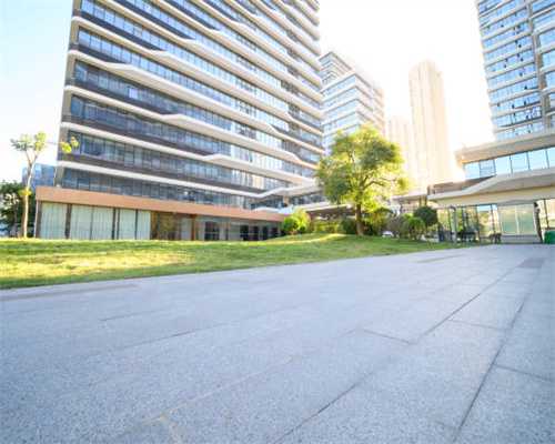 宠物整容，请了解清楚再做决定（2）