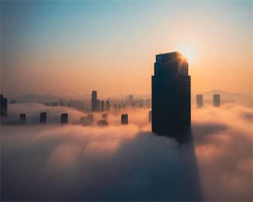 新手养柯基，劝你最好别养公狗，还是养母柯基比较好